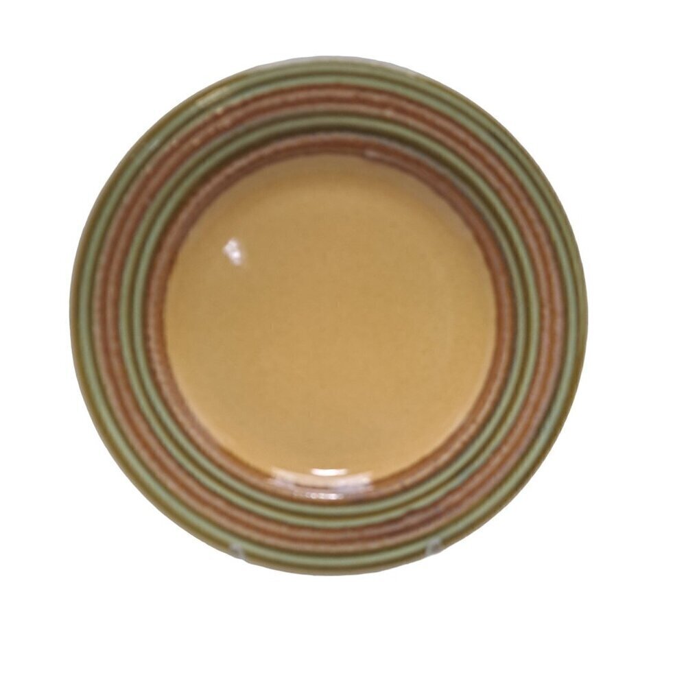 Pier 1 Triena Multicolored Dinner Plate 11 inch